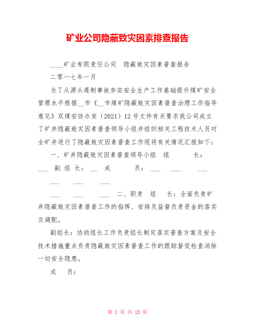 矿业公司隐蔽致灾因素排查报告