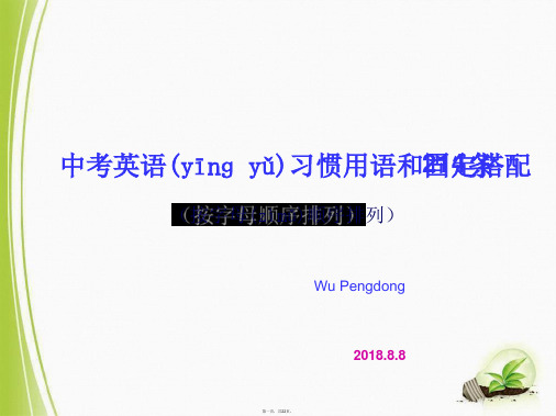 中考英语习惯用语和固定搭配214条共22张