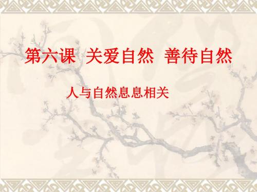 鲁人版道德与法治九年级上册课件：6.1人与自然息息相关(共15张PPT)