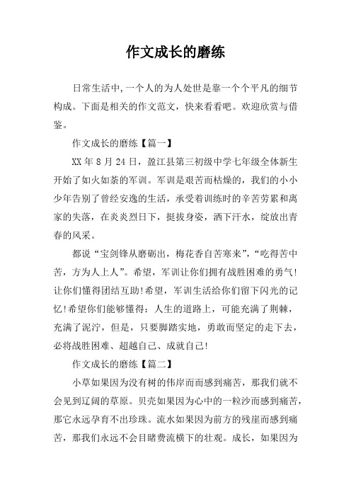 作文成长的磨练