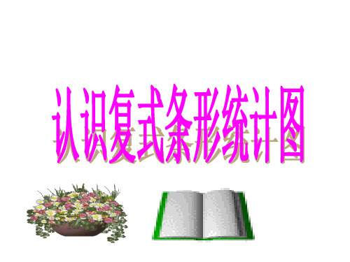 四年级数学下册8.2.1《认识复式条形统计图》课件(新版