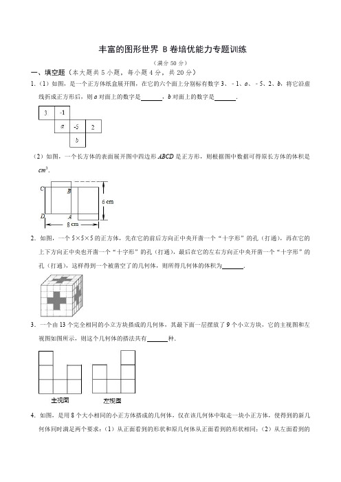 丰富的图形世界(B卷专题训练)