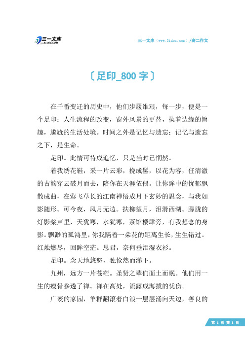 高二作文：足印_800字