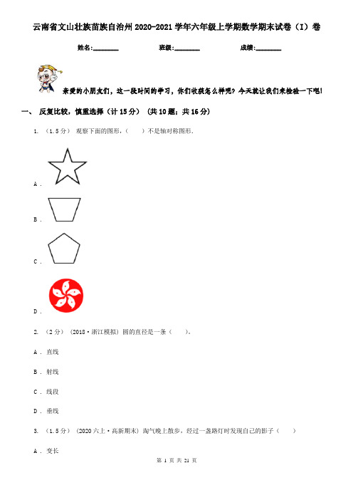 云南省文山壮族苗族自治州2020-2021学年六年级上学期数学期末试卷(I)卷