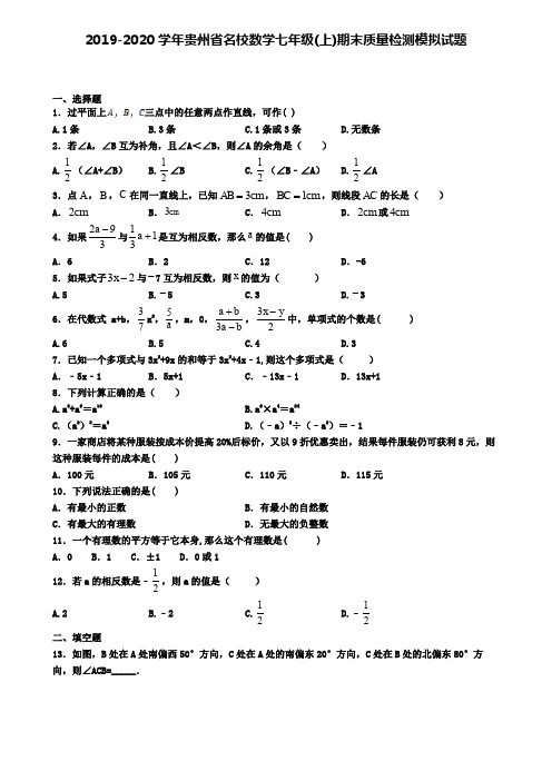 2019-2020学年贵州省名校数学七年级(上)期末质量检测模拟试题