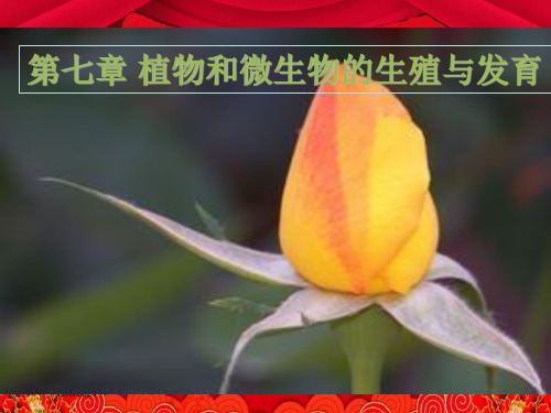 七年级科学下册 7.1《绿色开花植物的有性生殖与发育》课件 华东师大级下册自然科学课件