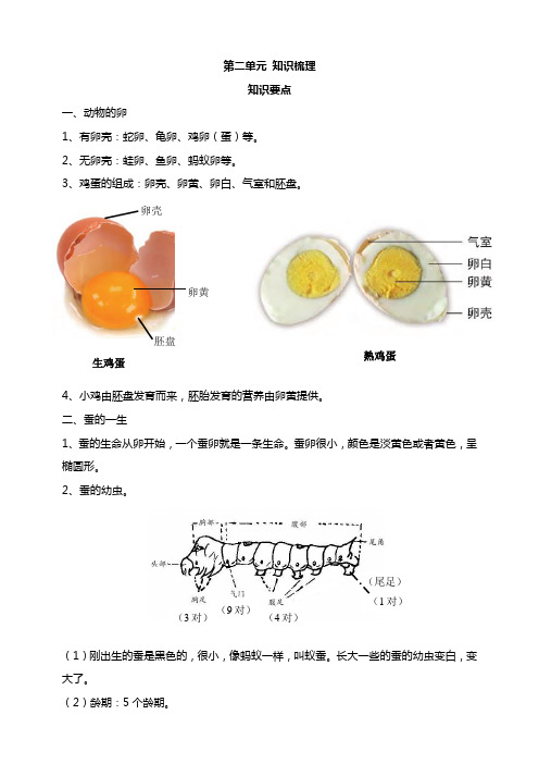 新教材教科版小学科学三年级下册第二单元动物的一生知识要点