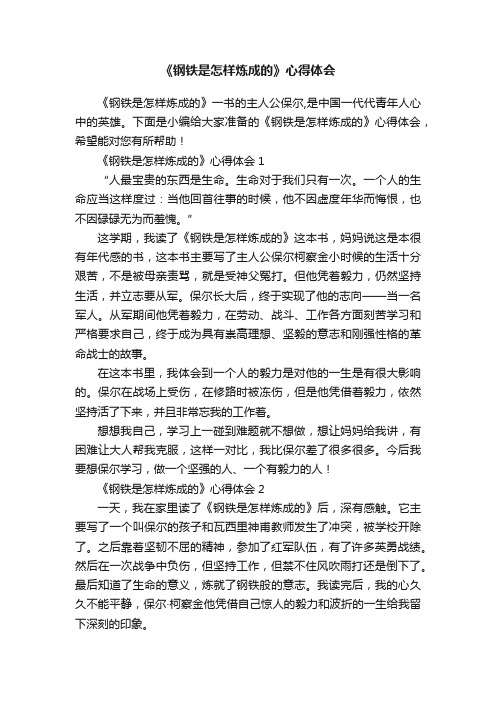 《钢铁是怎样炼成的》心得体会