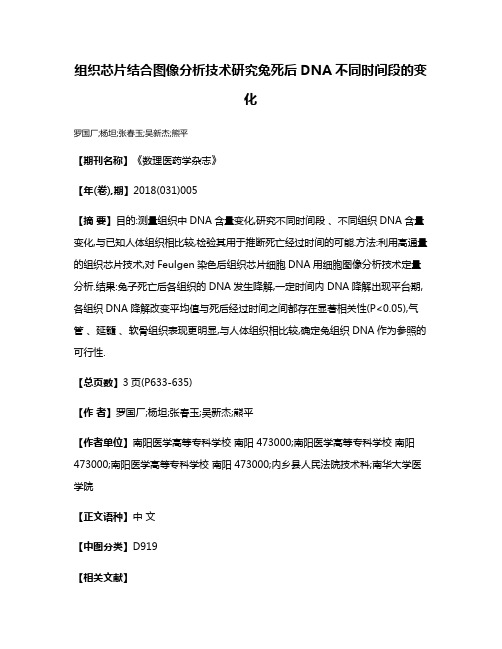 组织芯片结合图像分析技术研究兔死后DNA不同时间段的变化