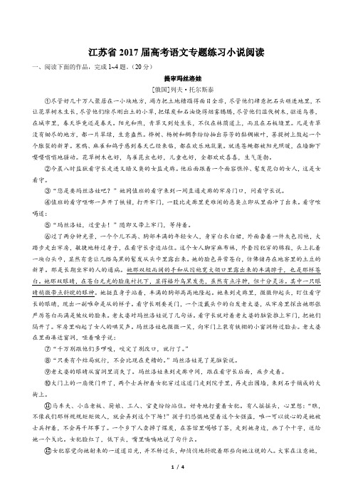 【江苏省】2017届高考语文-小说阅读-专题练习及答案