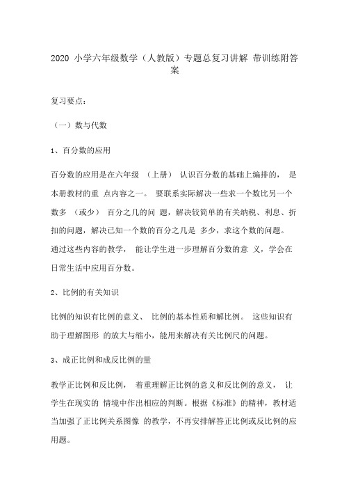 2020小学六年级数学(人教版)专题总复习讲解带训练附答案