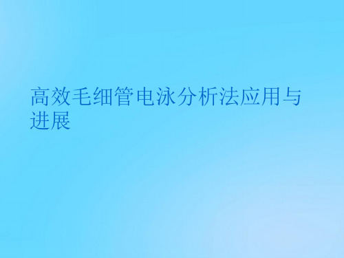 【优】高效毛细管电泳分析法应用与进展PPT资料