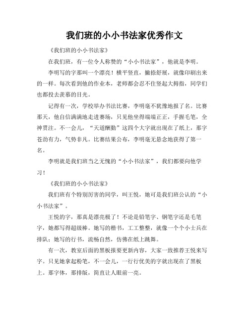 我们班的小小书法家优秀作文