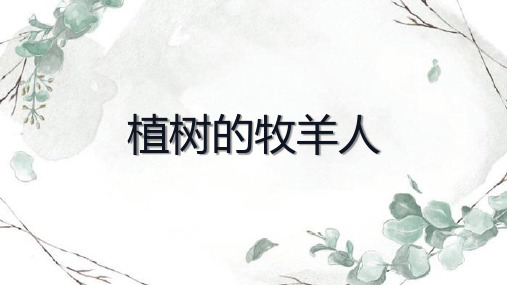 第13课《植树的牧羊人》课件(共31页)2023-2024学年统编版语文七年级上册