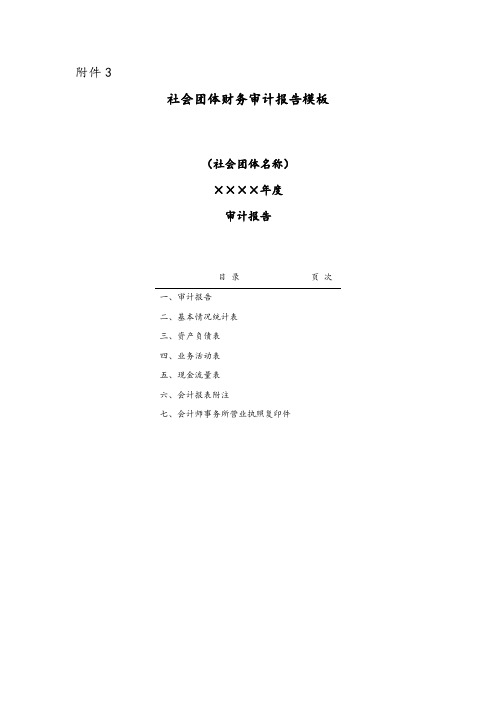 《社会团体财务审计报告模板》