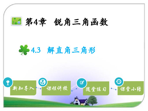 湘教版九年级数学上册 4.3解直角三角形