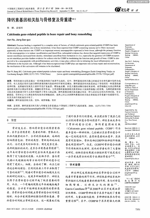 降钙素基因相关肽与骨修复及骨重建