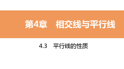 2020年春湘教版七年级数学下册课件：4.3 平行线的性质