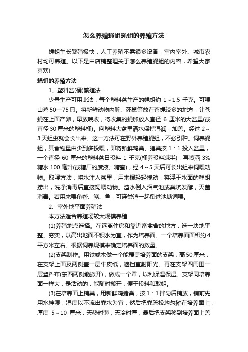 怎么养殖蝇蛆蝇蛆的养殖方法