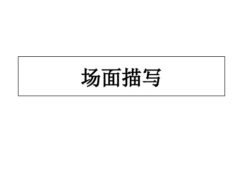 2020届高考语文语言文字应用专项复习之场面描写