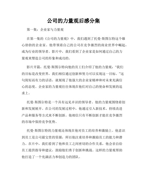 公司的力量观后感分集