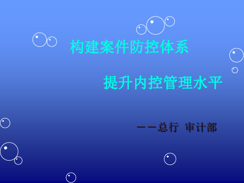构建案件防控体系提升内控管理水平