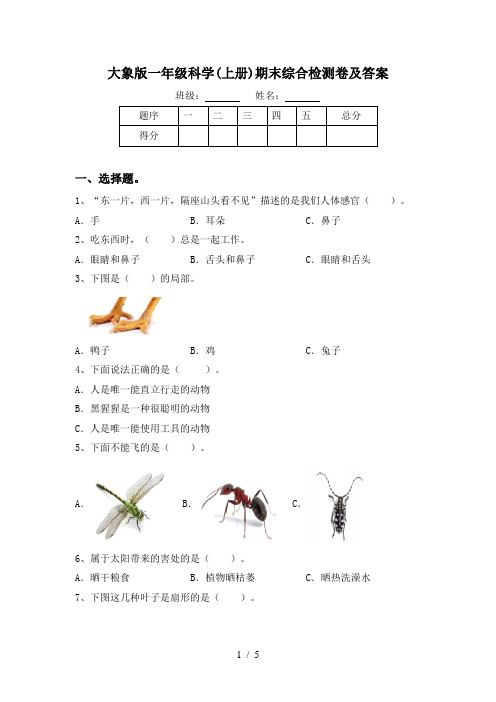 大象版一年级科学(上册)期末综合检测卷及答案