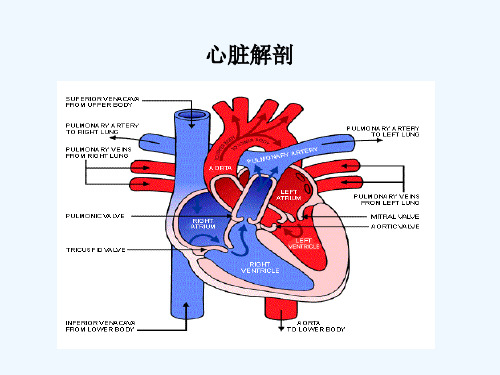 心脏疾病的生化标志物