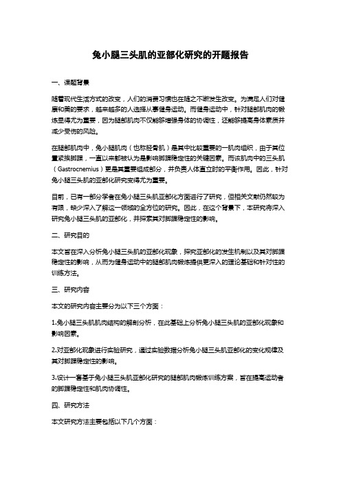 兔小腿三头肌的亚部化研究的开题报告