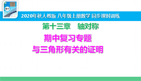 八上数学 期中复习专题 与三角形有关的证明