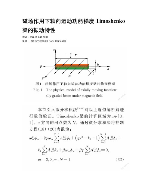 磁场作用下轴向运动功能梯度 Timoshenko 梁的振动特性