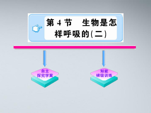 八年级科学下册 2.4.2《生物是怎样呼吸的》课件 浙教版