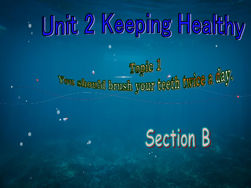仁爱版八年级英语上册 Unit 2 Topic 1 Section B 课件(共29张PPT)