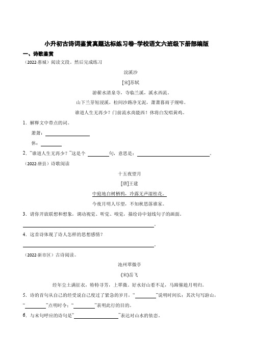 小升初古诗词鉴赏真题达标练习卷-2022-2023学年语文六年级下册(部编版)