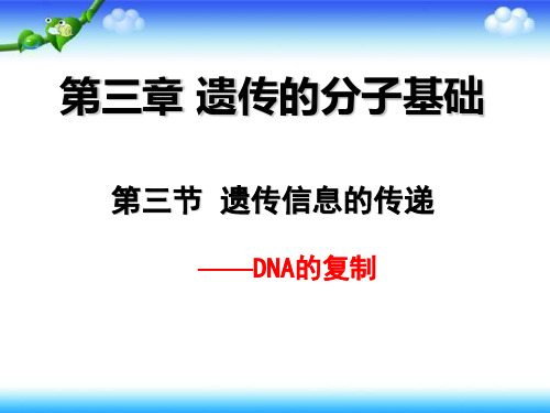 浙科版高中生物必修二第三章第三节遗传信息的传递——DNA的复制 课件 (共34张PPT)