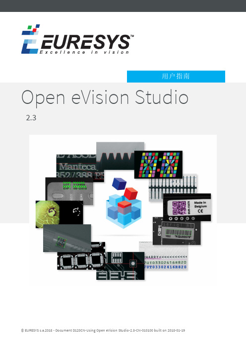 Open eVision Studio 2.3 用户指南说明书