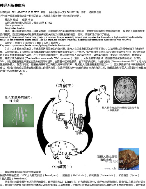 神经系统囊虫病