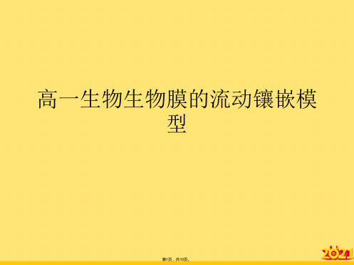 高一生物生物膜的流动镶嵌模型(“模型”文档)共10张