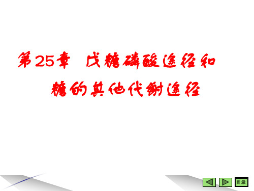 25-戊糖磷酸途径