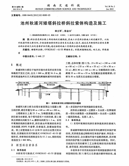 池州秋浦河矮塔斜拉桥斜拉索体构造及施工