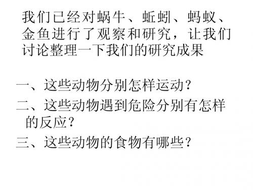 三上2.7动物有哪些共同特点