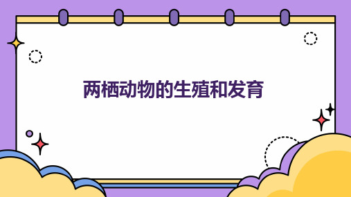 7.1.3两栖动物的生殖和发育课件2023-2024学年人教版生物八年级下册