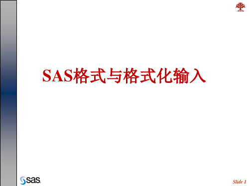 5.SAS格式及格式化输入解析