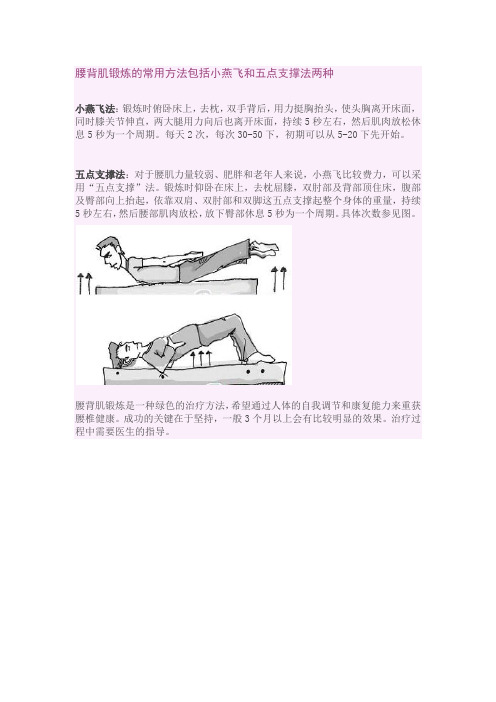 腰背肌锻炼的常用方法包括小燕飞和五点支撑法两种