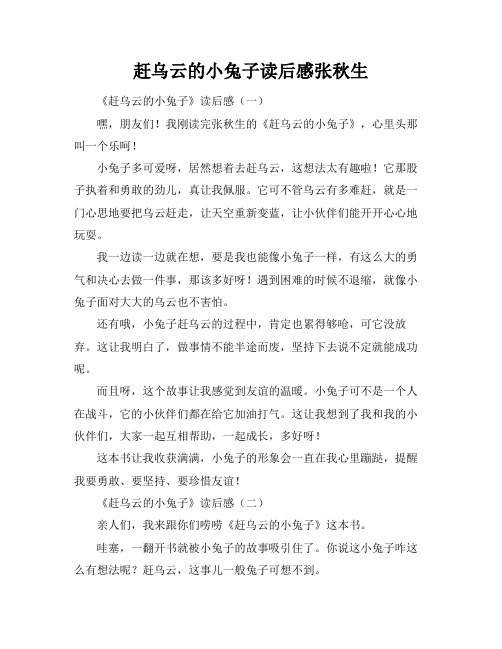 赶乌云的小兔子读后感张秋生