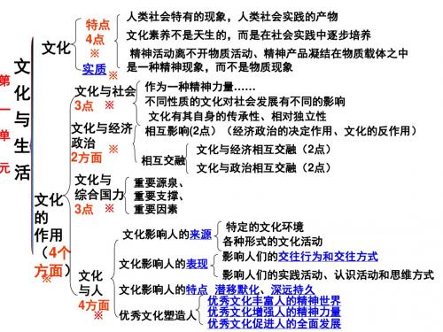 文化生活第一课第二课课件