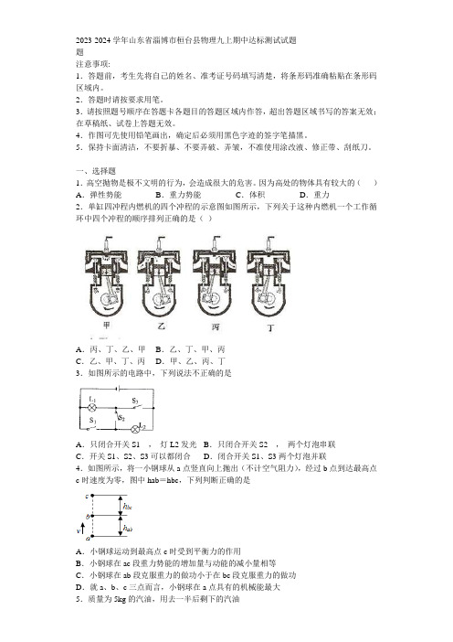 2023-2024学年山东省淄博市桓台县物理九上期中达标测试试题含解析