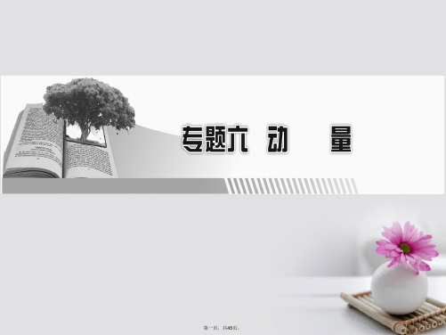 高考物理一轮总复习专题6动量第1讲动量动量守恒定律课件