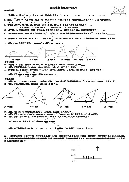 相似性专项练习