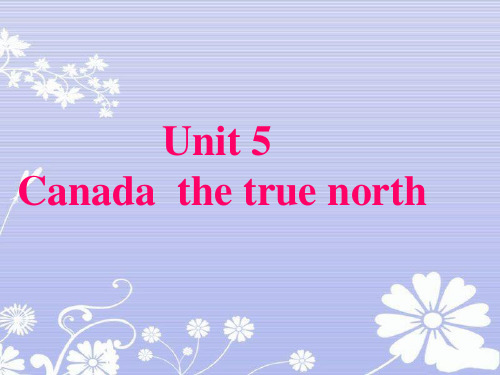 人教版高中英语必修3Unit5--A--Trip--on--the--True--North--说课